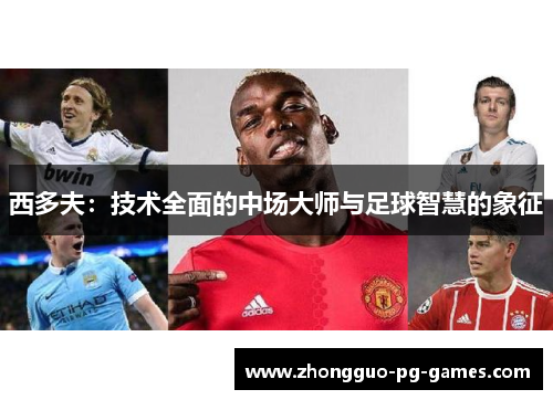 西多夫:技术全面的中场大师与足球智慧的象征 西多夫:技术全面的中场大师与足球智慧的象征
