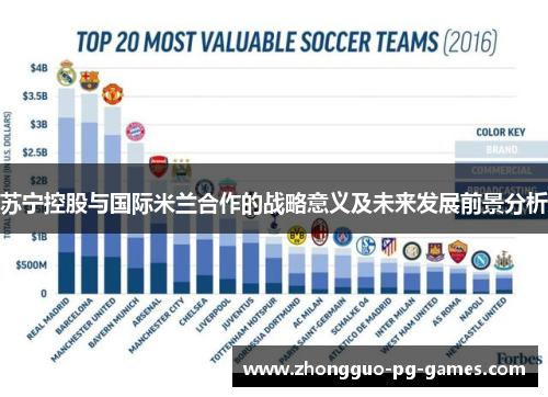 苏宁控股与国际米兰合作的战略意义及未来发展前景分析