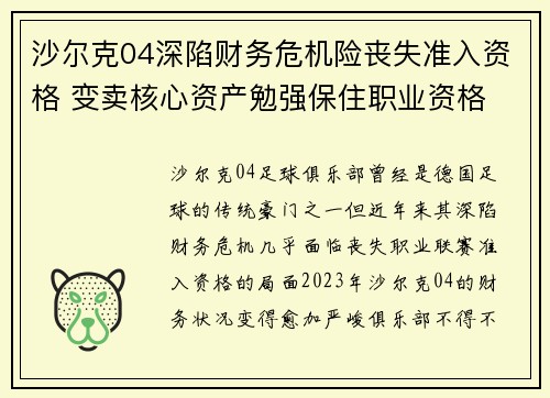沙尔克04深陷财务危机险丧失准入资格 变卖核心资产勉强保住职业资格 沙尔克04深陷财务危机险丧失准入资格 变卖核心资产勉强保住职业资格