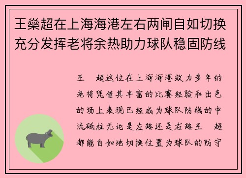 王燊超在上海海港左右两闸自如切换充分发挥老将余热助力球队稳固防线 王燊超在上海海港左右两闸自如切换充分发挥老将余热助力球队稳固防线