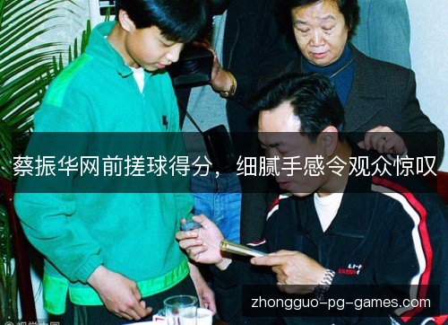 蔡振华网前搓球得分,细腻手感令观众惊叹 蔡振华网前搓球得分,细腻手感令观众惊叹